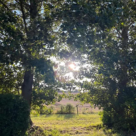 Brandenburg Oase Apartment *