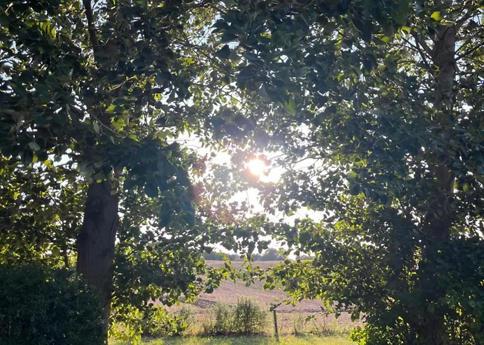 Brandenburg Oase Lägenhet *